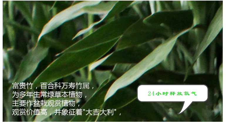 圖片8.png